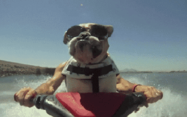 image.gif.b9715fc788260f3ded05519c7df1f4a6.gif